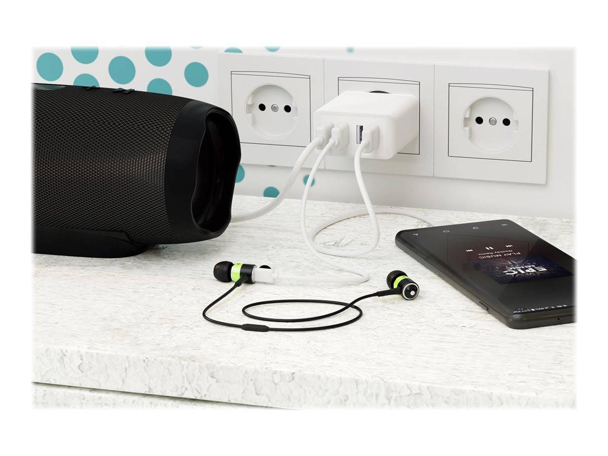 WENTRONIC - goobay - Netzteil - 30 Watt - 3 A - 4 Ausgabeanschlussstellen (4 x USB)