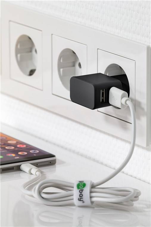 WENTRONIC - goobay Dual USB charger - Netzteil - 12 Watt - 2.4 A - 2 Ausgabeanschlussstellen (USB)