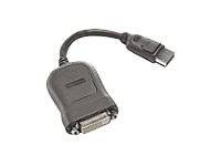 Lenovo DVI-Adapter - Single Link - DisplayPort (M) - zu DVI-D (W) - 20 cm