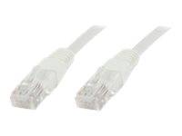 Zwei transparente Ethernet-Kabel mit RJ45-Steckern.