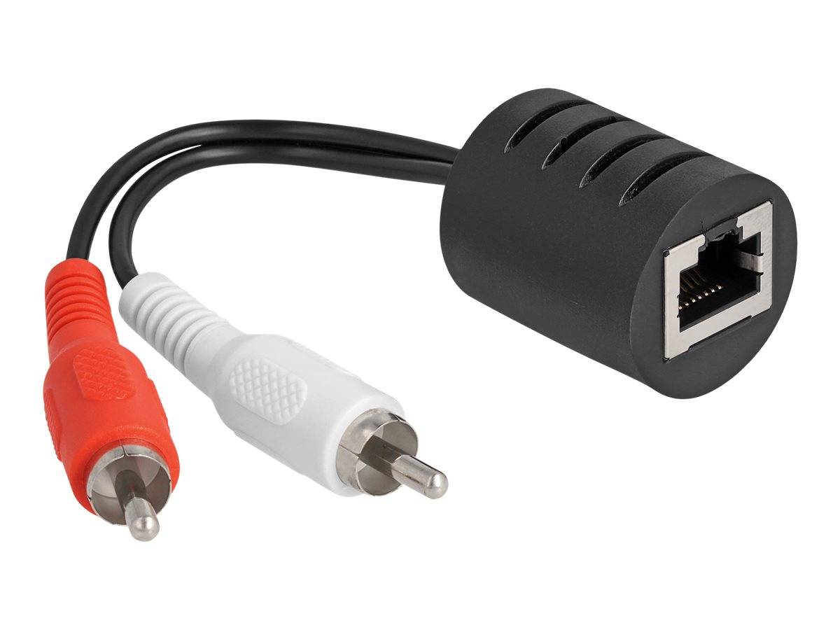 Delock Audio-Adapter - RJ-45 weiblich zu RCA x 2 männlich - Schwarz (Packung mit