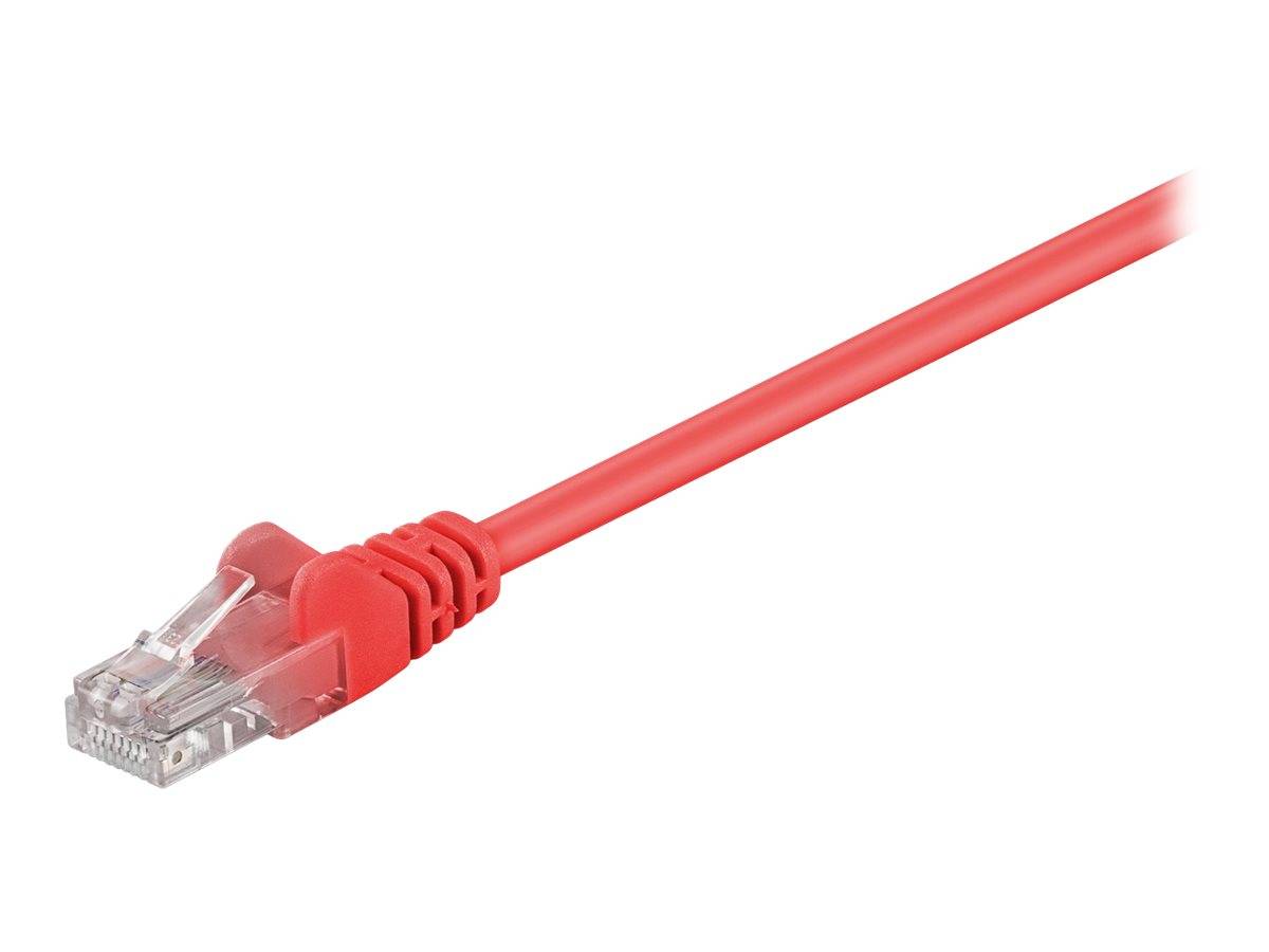 Ein rotes Ethernet-Kabel mit einem transparenten Plastikstecker an einem Ende, das für Netzwerkverbindungen verwendet wird.
