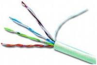 Gembird - Bulkkabel - 304.8 m - UTP - CAT 6 - robust