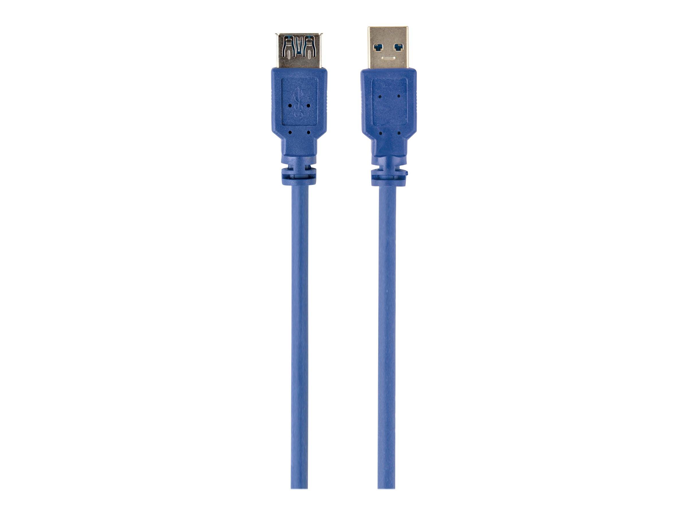 Blaues USB-Kabel mit USB-A- und USB-B-Anschlüssen auf weißem Hintergrund.