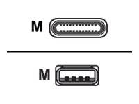 Poly USB-Kabel - USB (M) zu 24 pin USB-C (M) - 10 m
