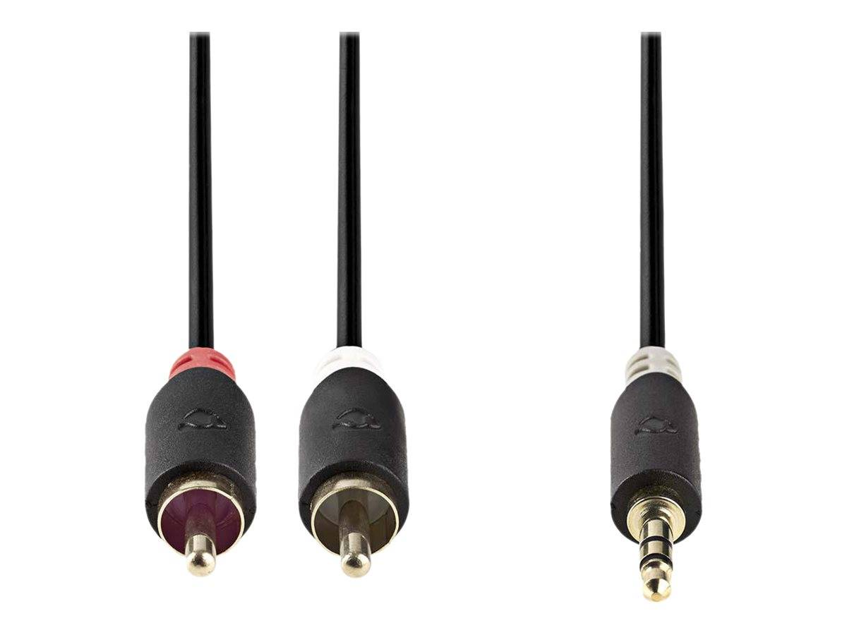 Nedis Stereo-Audiokabel | 3.5 mm Stecker | 2x RCA Stecker Vergoldet | 2.00 m |