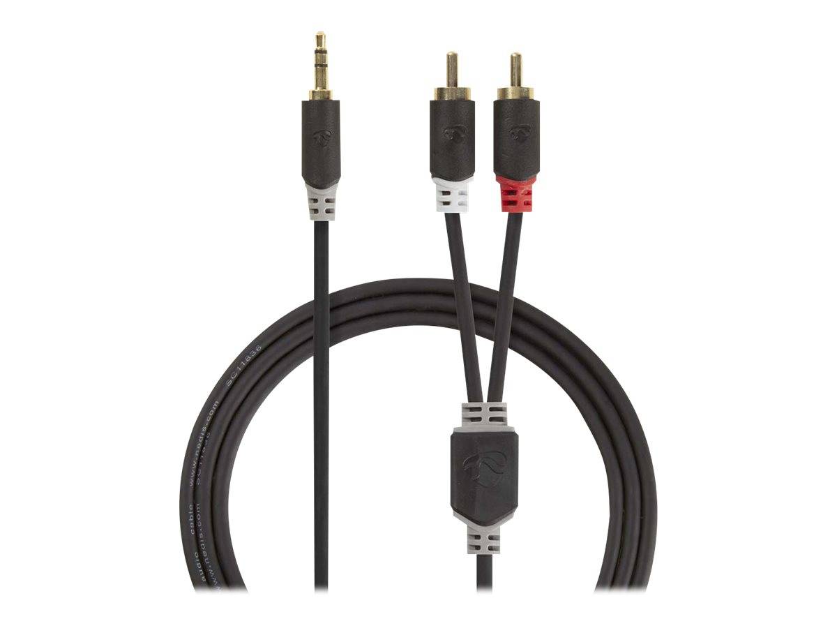Nedis Stereo-Audiokabel | 3.5 mm Stecker | 2x RCA Stecker Vergoldet | 2.00 m |