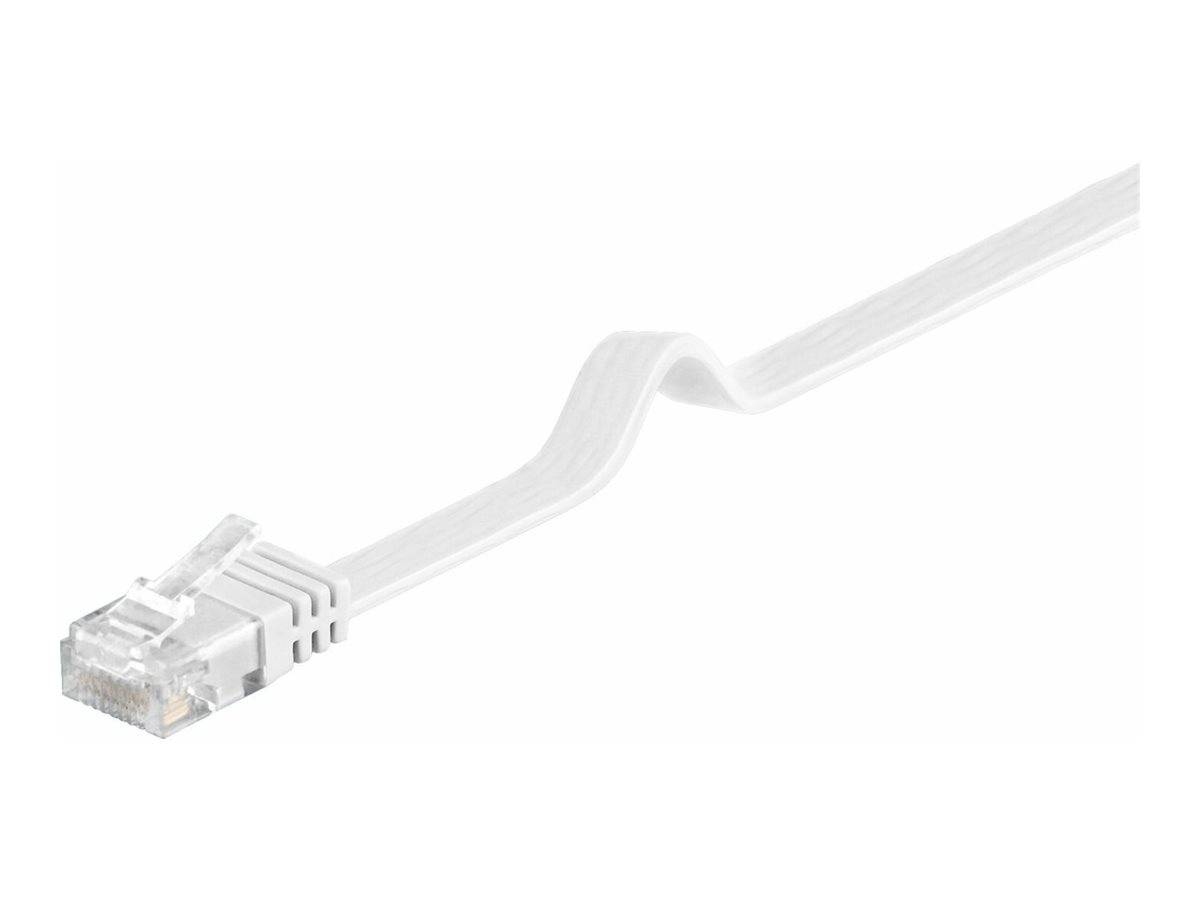 Weißes Ethernet-Kabel mit RJ45-Stecker auf einfachem Hintergrund.