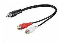 Schwarzes Audiokabel mit RCA-Stecker geteilt in rote und weiße RCA-Buchsen.