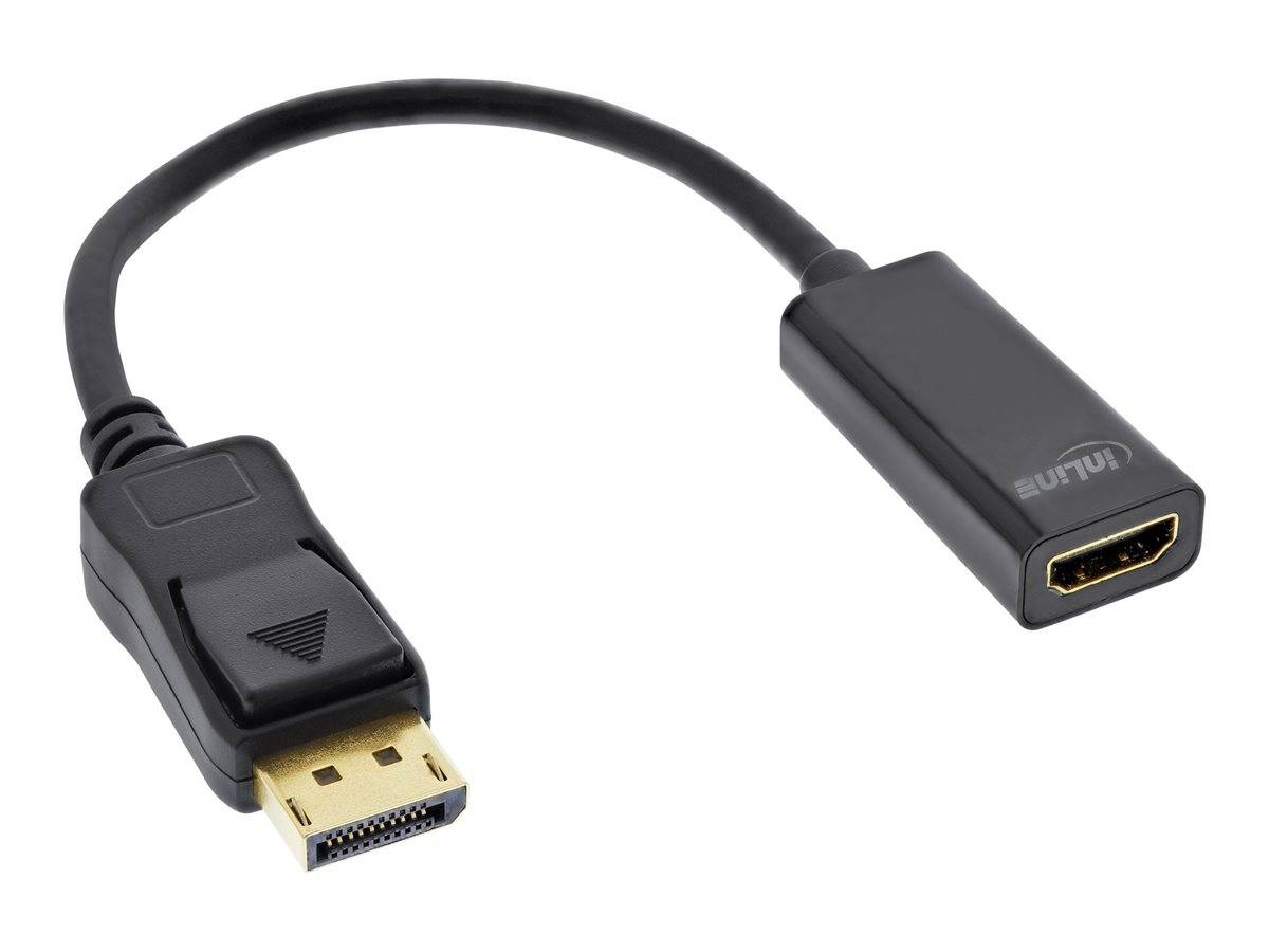 DisplayPort zu HDMI Adapterkabel mit schwarzen Anschlüssen auf weißem Hintergrund