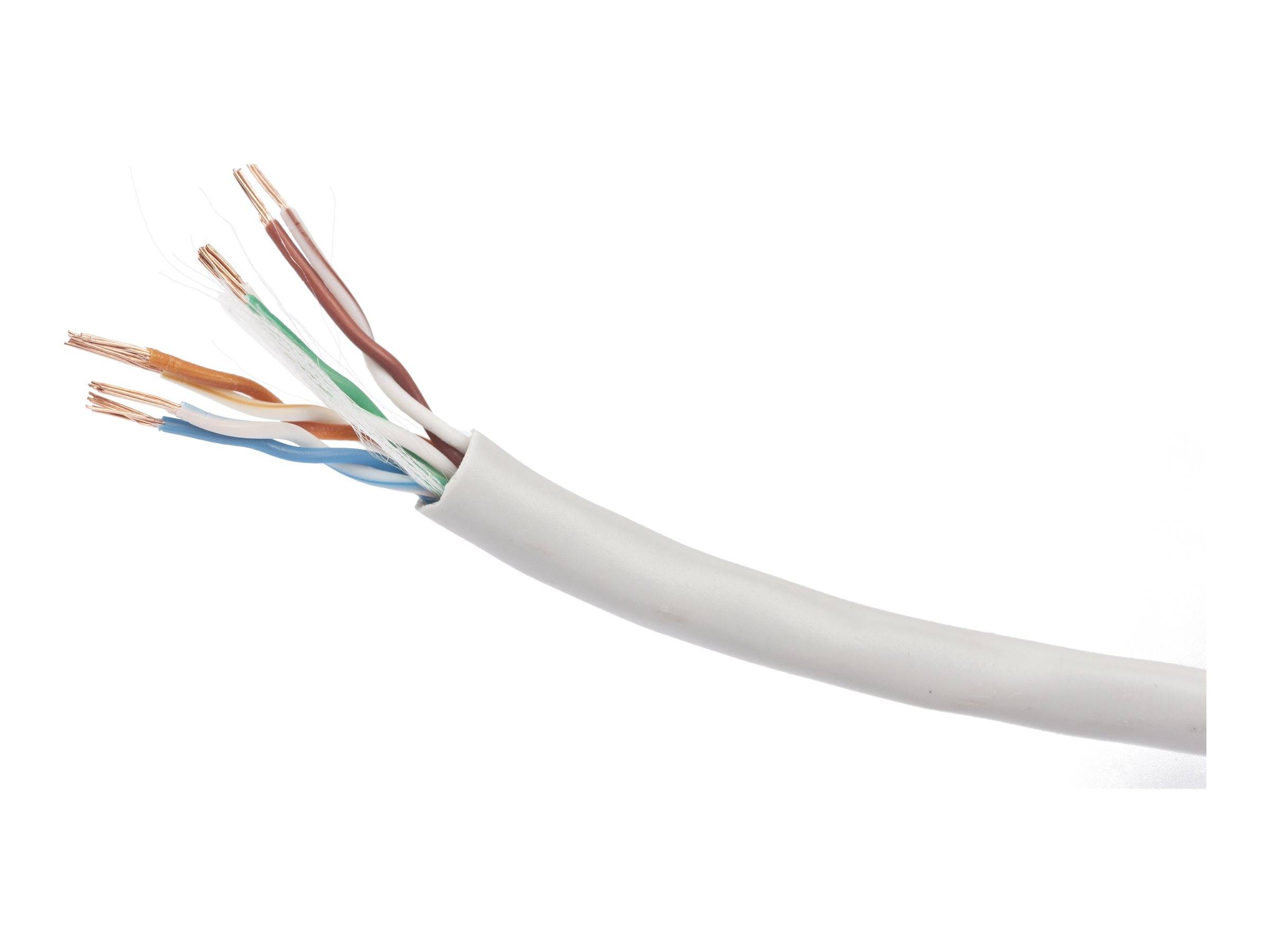 GEMBIRD - Cablexpert - Bulkkabel - 100 m - UTP - CAT 5e