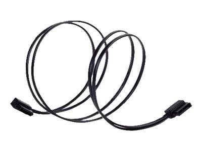 Schwarzes aufgerolltes Kabel mit Steckverbindern an beiden Enden, dargestellt auf weißem Hintergrund.