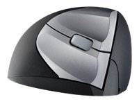 Minicute EZMouse - Maus - optisch - 3 Tasten - kabellos - 2.4 GHz - kabelloser Empfänger (USB)