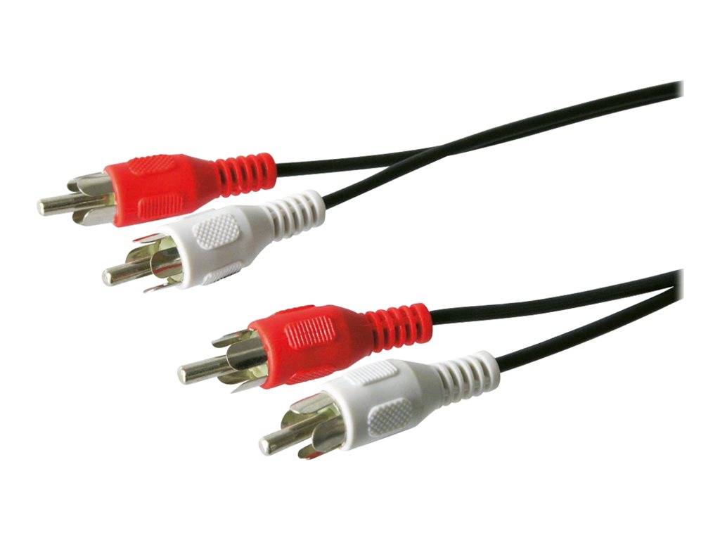 Zwei Stereo-Audiokabel mit roten und weißen RCA-Steckverbindern auf weißem Hintergrund.