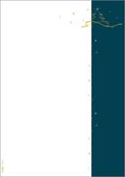 Sigel DP413, Universal, A4 (210x297 mm), 100 Blätter, 90 g/m², Petrol colour, Weiß, Gelb, Forest Stewardship Council (FS