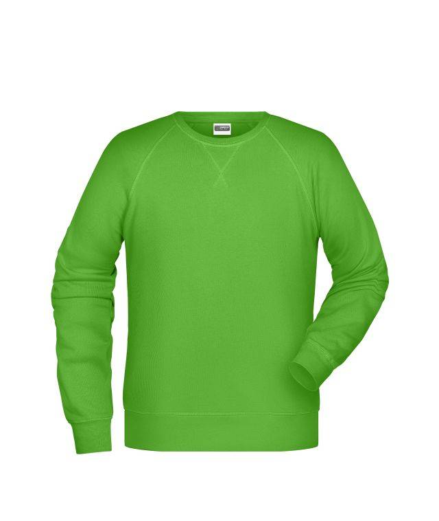 Men's Sweat Klassisches Sweatshirt mit Raglanärmeln grün, Gr. 5XL