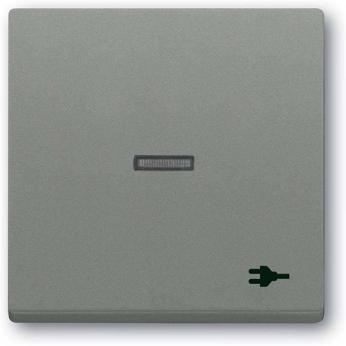 Busch-Jaeger Wippe mit Aufdruck 1789 ST-803