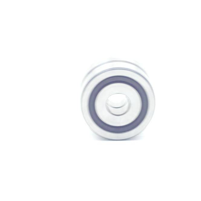 INA Kugellager ZKLN1242-2RS-PE (ZKLN1242-2RS-PE)