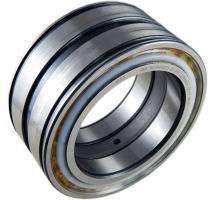 SL045020-D-PP Zylinderrollenlager, vollrollig, INA