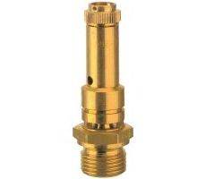 226,03-21,0 Vollhub-Sicherheitsvent, DN8 G1/2 21bar, RIEGLER