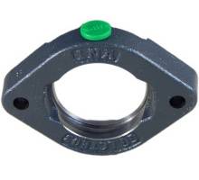 GEHGLCTE07-GG Flanschlagergehaeuse, oval, INA