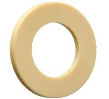 WTM-3254-015 Iglidur W300 Anlaufscheibe, igus