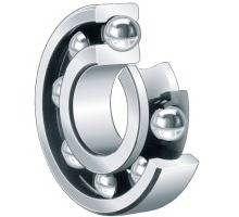 61834-HLU Duennringlager, INA