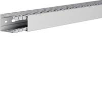 Hager HA760040 - Grau - ABS Synthetik - Polycarbonat - EN50085-2-3 - 6,5 mm - 20