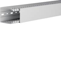 Hager HA780060 - Grau - ABS Synthetik - Polycarbonat - EN50085-2-3 - 6,5 mm - 20