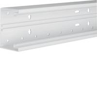 Hager BR6510019016, Weiß, Polyvinylchlorid (PVC), 2 m, 68 mm, 100 mm