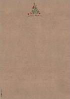 Sigel DP415, Universal, A4 (210x297 mm), 100 Blätter, 100 g/m², Beige, Braun, Grün, Rot, PEFC