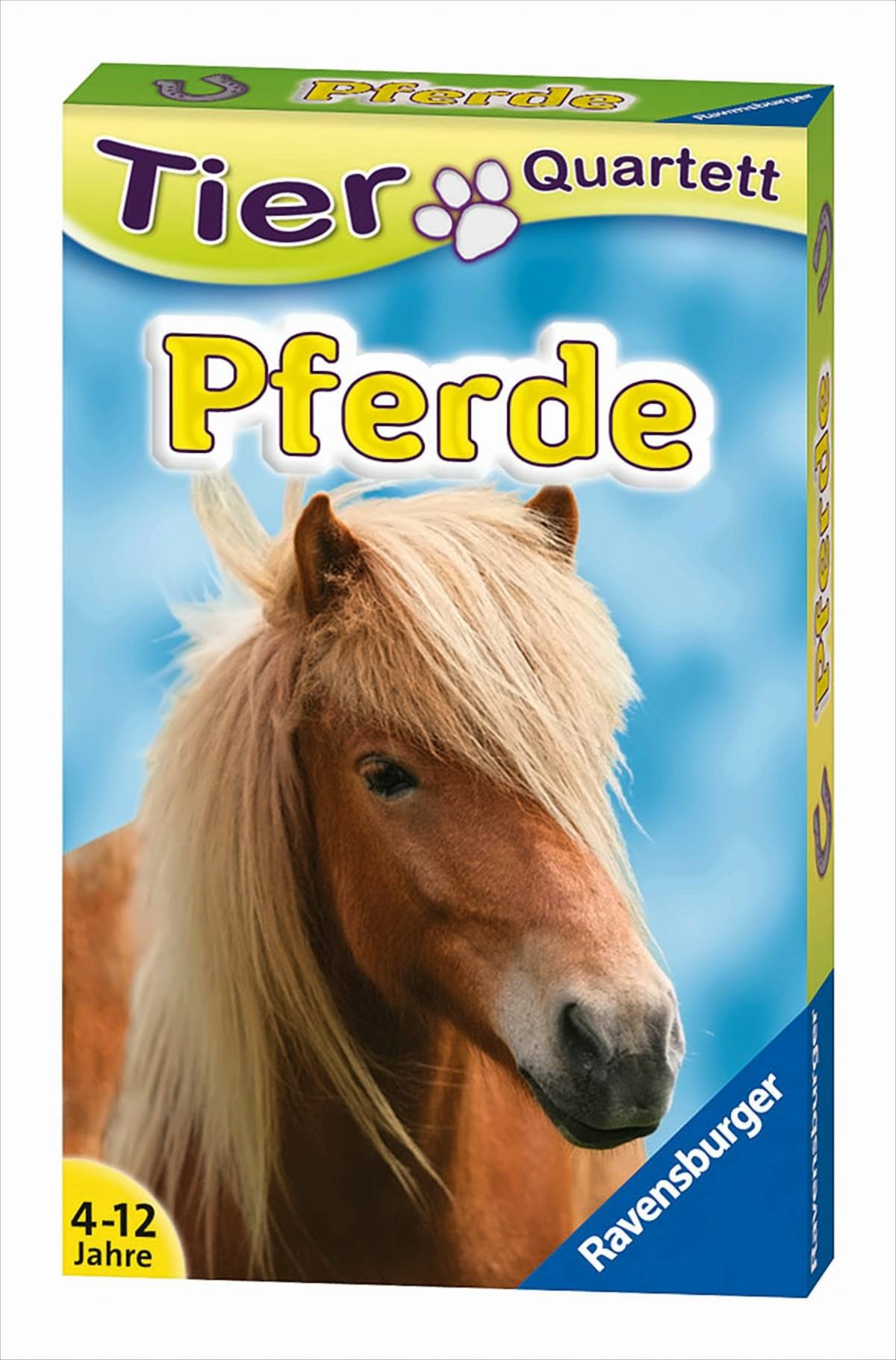 Pferde Quartett