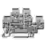 WAGO Doppelstock-Durchgangsklemme 5 mm Zugfeder Belegung L Grau 870-508 50