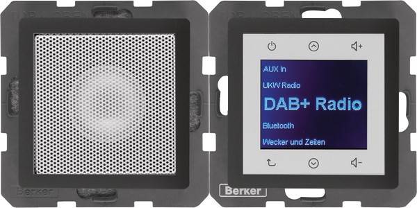 Berker Radio mit Lautspr. DAB+, B 30806086