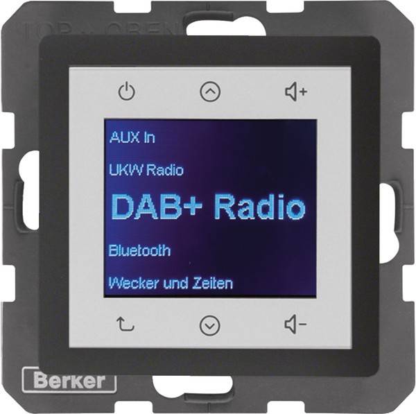 Berker Radio DAB+, Q.x anth. 29846086