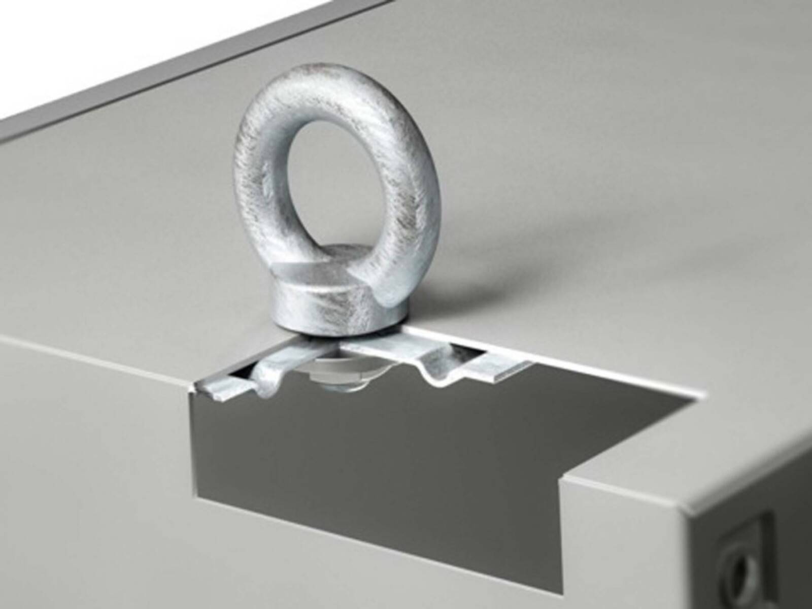 Rittal Transportöse für AX AX 2509.010 (VE2)