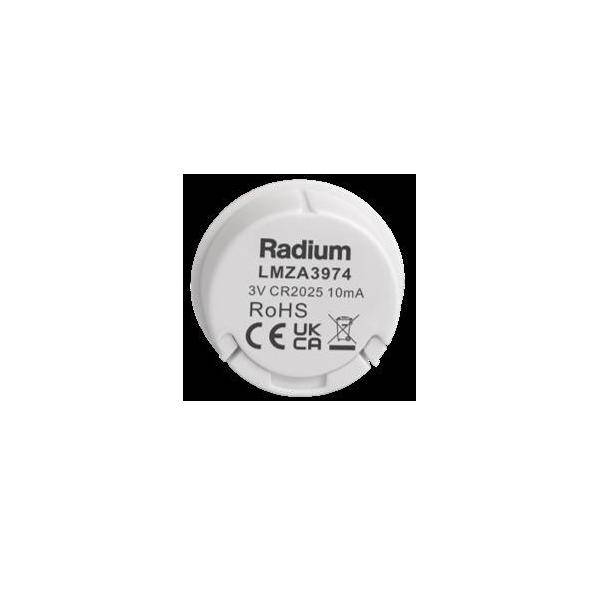 Radium Lampenwerk Fernbedienung LMZA3974