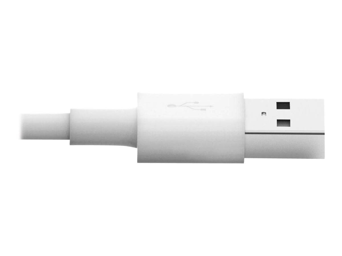 TRIPP - Eaton Tripp Lite Series USB-A to Lightning Sync/Charge Cable (M/M)