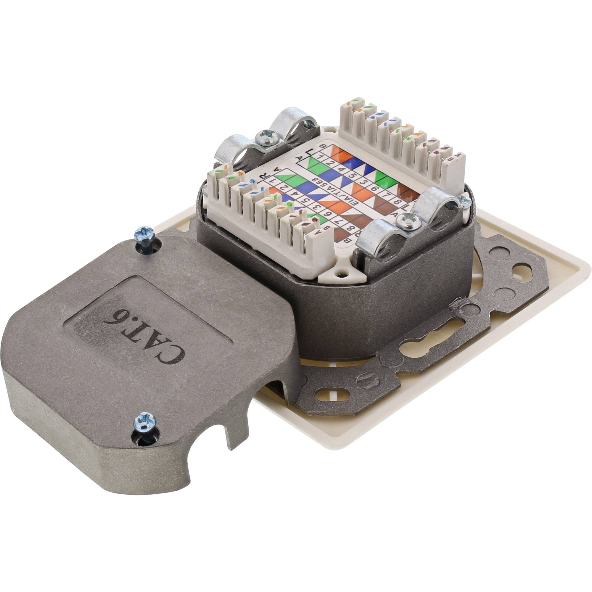 Nahaufnahme eines CAT6-Ethernet-Keystone-Anschlusses mit Verdrahtungsetikett und Schutzkappe auf weißem Hintergrund.