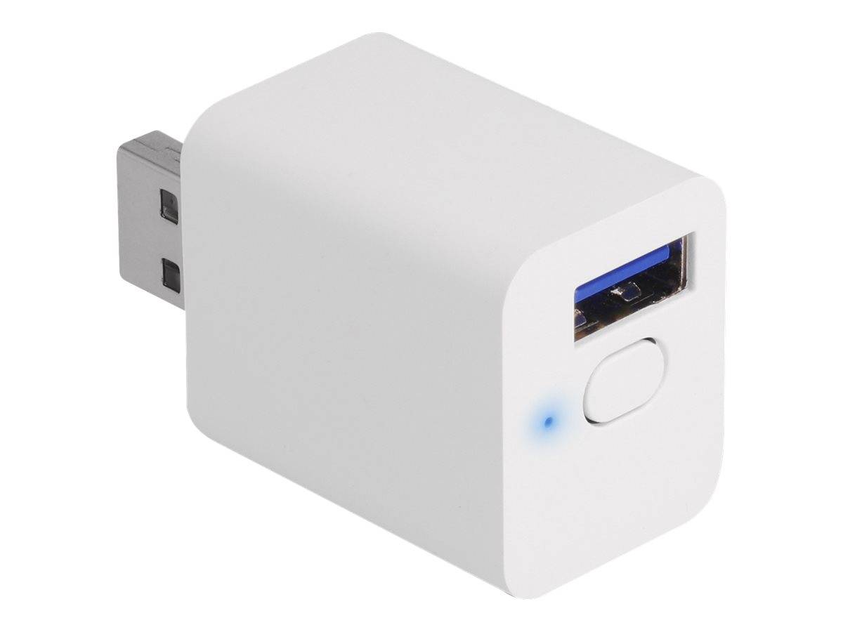 Delock - Smart-Schalter - WLAN, EASY-USB, MQTT