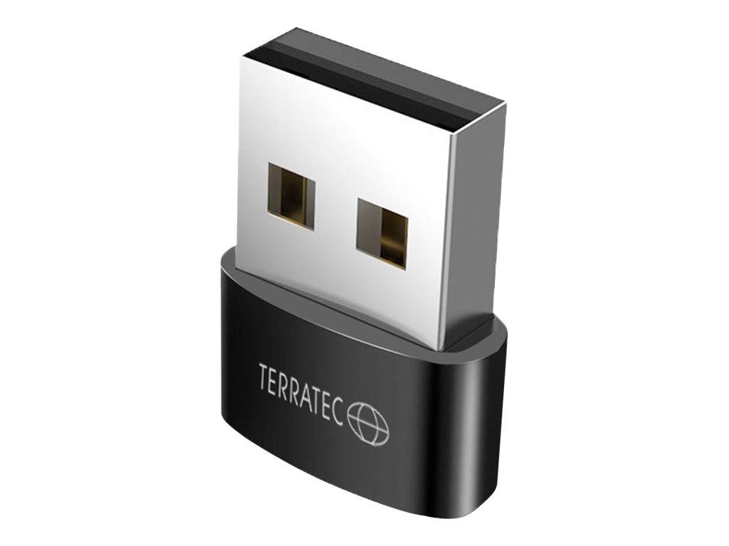 Ein Terratec USB-Stick-Adapter mit schwarzer Basis und silbernem USB-Anschluss.