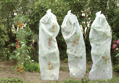 Tomatenreifevlies 0,8x5m 17g weiß