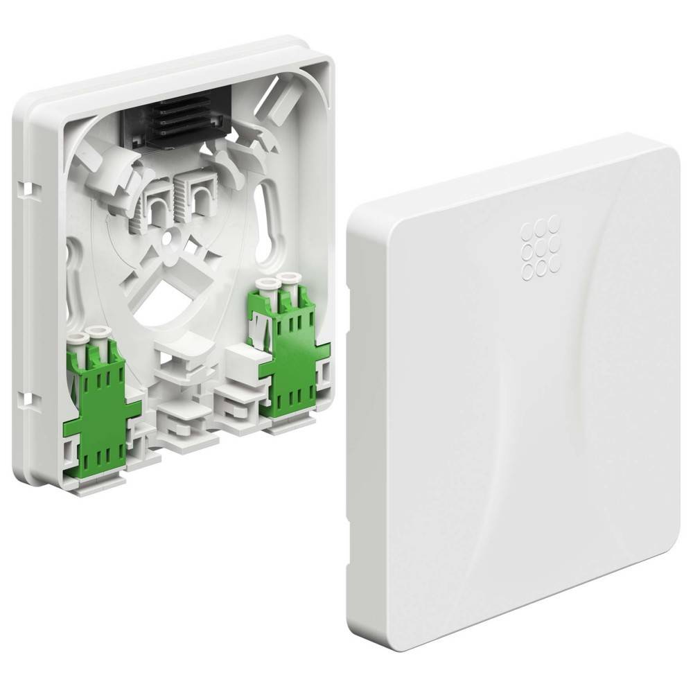 50 Stk. Kaiser Teilnehmeranschluss 4252004