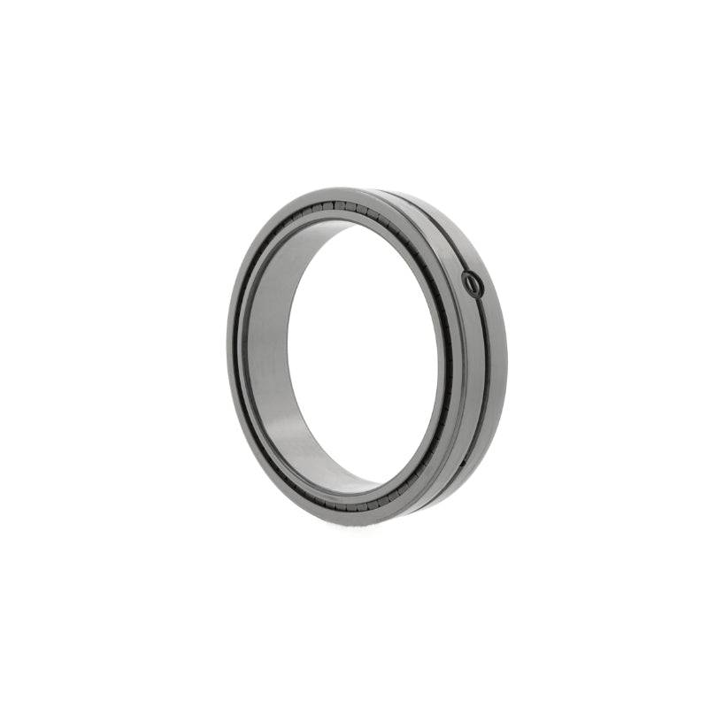 SL024838 INA