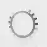 Sicherungsblech MB1 ID 12mm AD 25mm Breite1mm SKF Sicherungsblech MB1 ID 12mm AD 25mm Breite1mm SKF