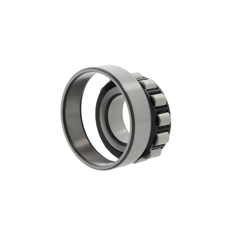 N306ECP SKF