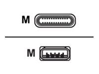 Sharkoon USB-Kabel - USB-C (M) zu USB Typ A (M) - USB 3.1 - 1 m - Schwarz - Hell