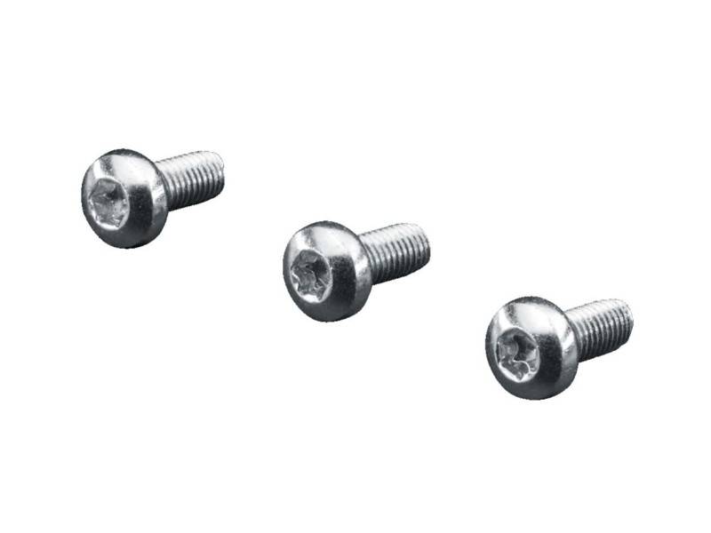 Rittal Linsenkopfschrauben SZ 2489.500 (VE500)