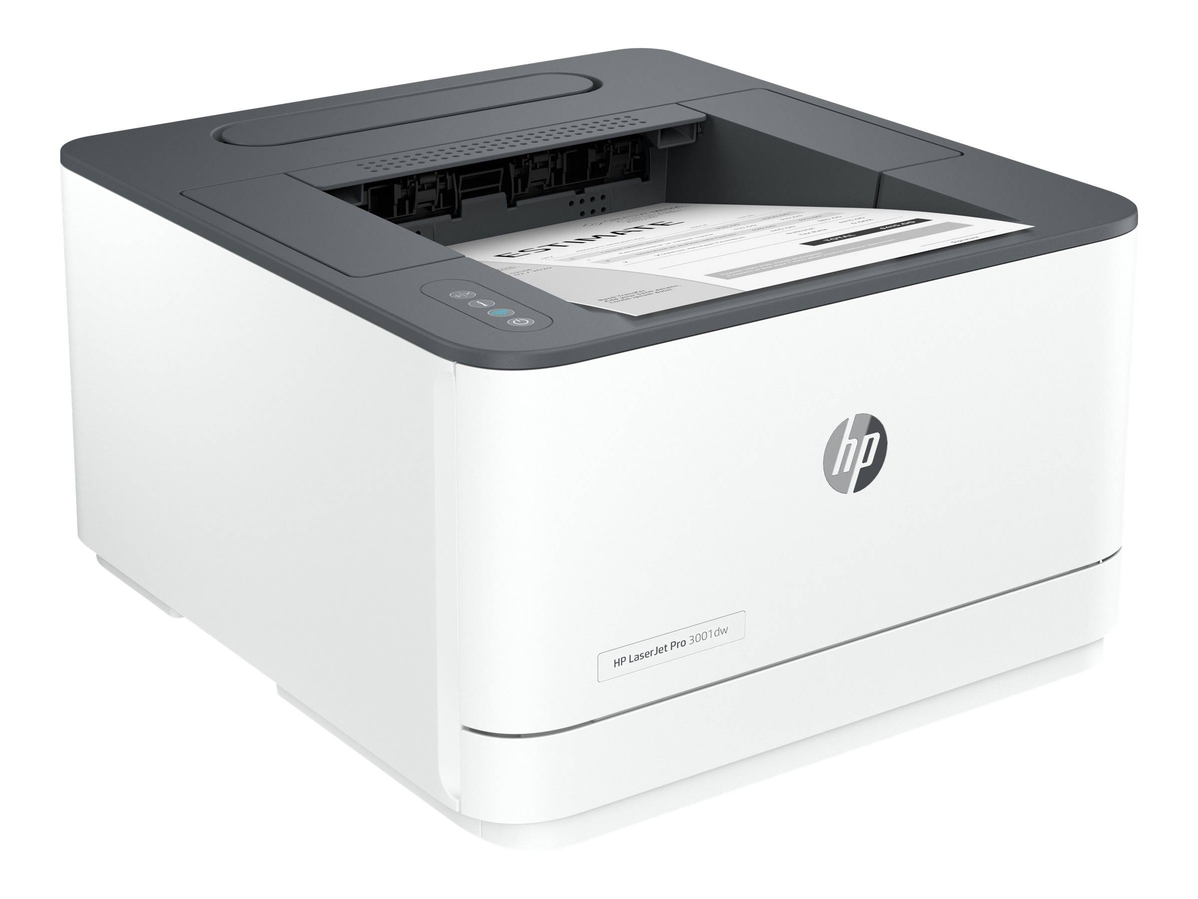 HP LaserJet Pro 3002dn - Drucker - s/w - Duplex