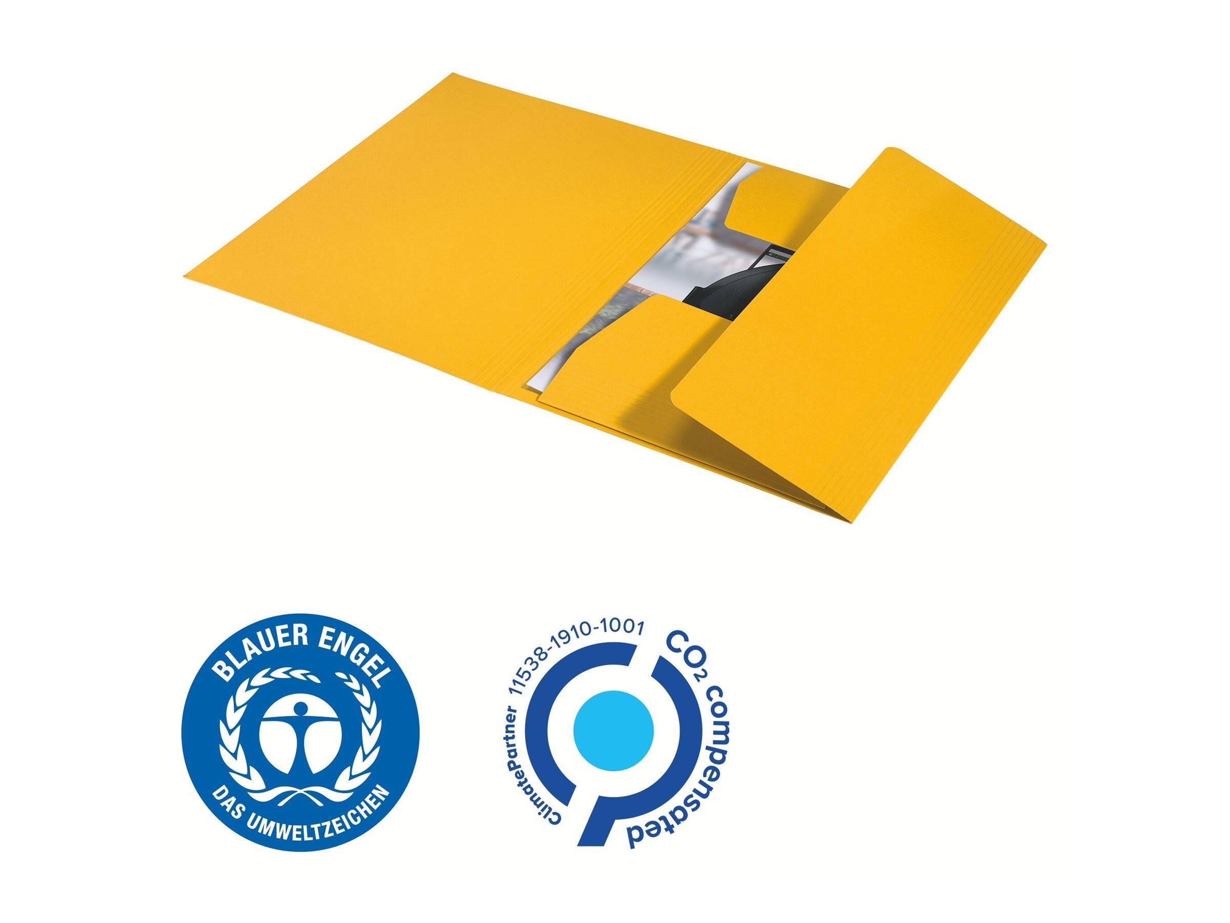 Esselte Leitz Recycle - Aktenmappe mit 3 Klappen - Rückenbreite: 2 mm - für A4 (210 x 297 mm)